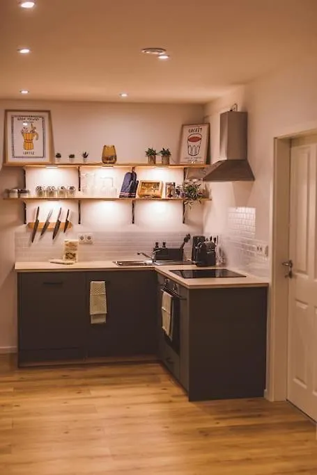 Einzigartiges Apartment Im Zentrum Von Nuernberg Germany